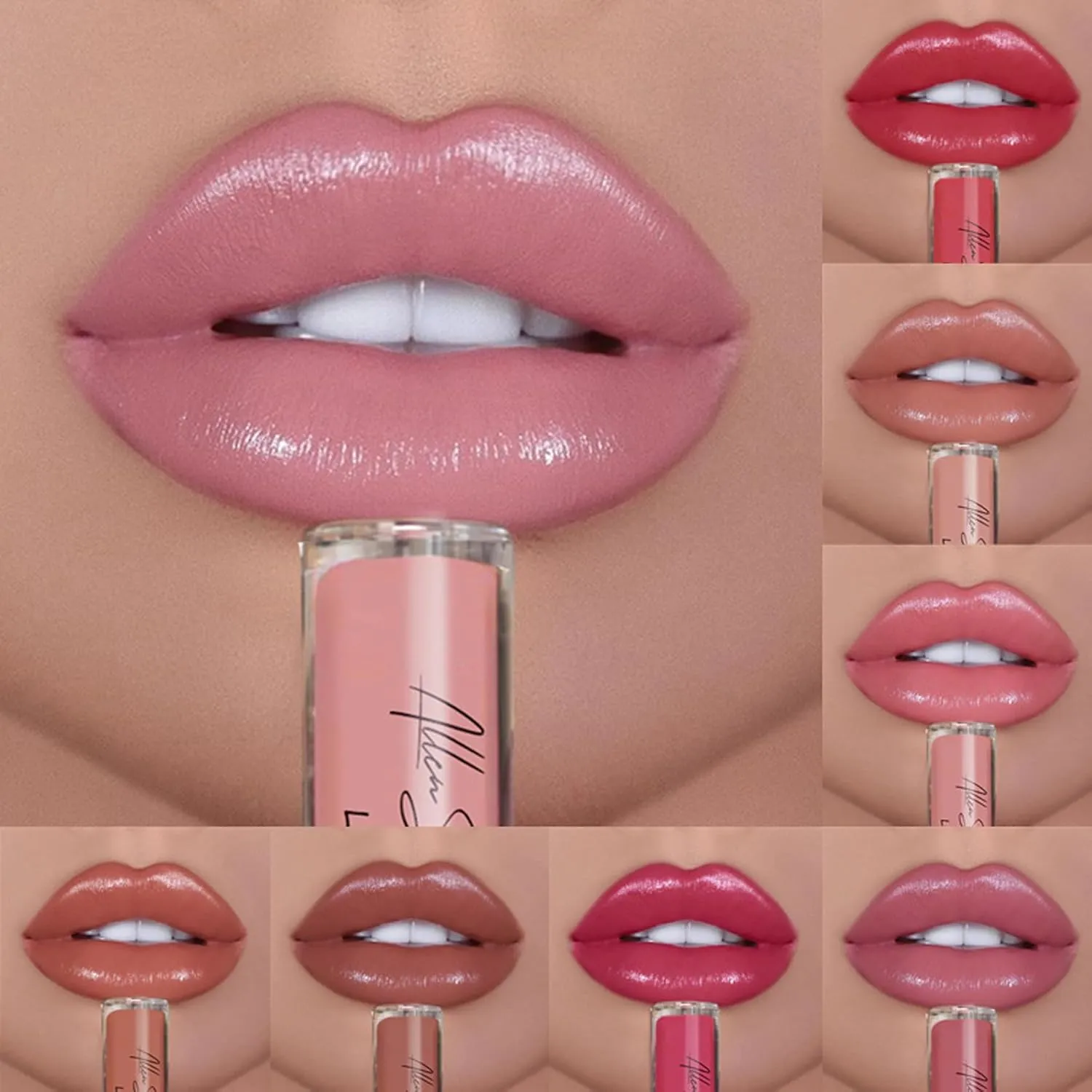 Hailnrothwad Lipstick, Brillo De Labios En Crema De 12 Colores, 12 Colors Cream Texture Lipstick (1#Amore)